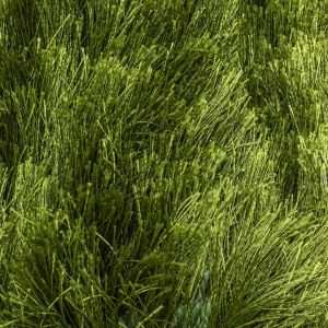 Brinker Carpets Vloerkleed Arezzo 474 - Groen - Hoogpolig 