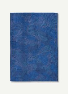 Coral blue lagoon 9225 - Louis de poortere